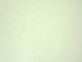 organic 壁紙  23-270030