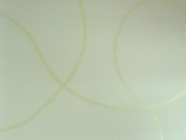 organic 壁紙  27-270040