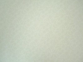 organic 壁紙  34-270050