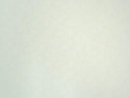organic 壁紙  49-270070