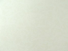 FIOTON 壁紙  36-339001