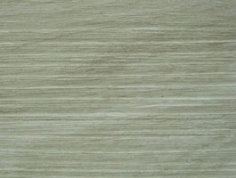 Wood Plank Collection 新貂磚2木紋系列 2.0 FW-309