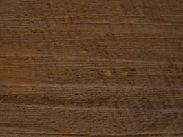 Wood Plank Collection 新貂磚2木紋系列 2.0 FW-314