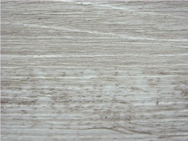 Wood Plank Collection 新貂磚2木紋系列 2.0 FW-301