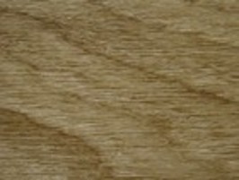 Wood Plank Collection 新貂磚2木紋系列 2.0 FW-305