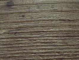 Wood Plank Collection 新貂磚2木紋系列 2.0 FW-308