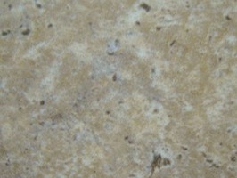OA雲碧1.5mm系列 塑膠地磚 1575