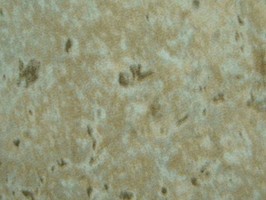 OA雲碧1.5mm系列 塑膠地磚 1576
