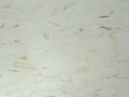 OA雲碧1.5mm系列 塑膠地磚 1580