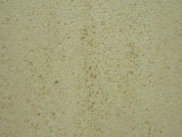 雲碧2.0mm系列 塑膠地磚 2081