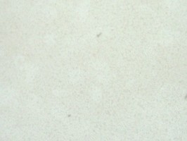 Breeze 塑膠地磚 B2012