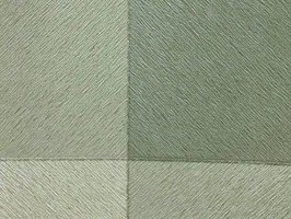 極品NICE 壁紙  530605