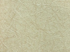 極品 司林巴帝 壁紙  23116