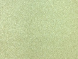 極品 司林巴帝 壁紙  23130