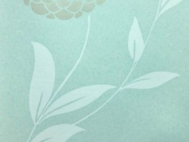 極品 司林巴帝 壁紙  23301