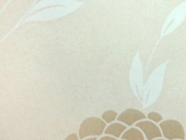 極品 司林巴帝 壁紙  23304