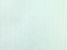 極品 司林巴帝 壁紙  23305