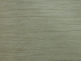 極品 司林巴帝 壁紙  SB-1170