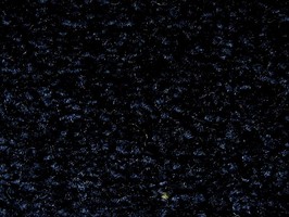范登伯格 摩登系列 地毯 F895