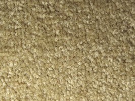 范登伯格 摩登系列 地毯 F1480
