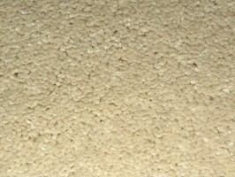 范登伯格 摩登系列 地毯 F1776