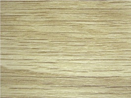 Wood Plank Collection 新貂磚2木紋系列 2.0  FW-318