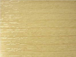 Wood Plank Collection 新貂磚2木紋系列 2.0  FW-321