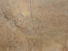 PROLONG TILEC.OM 塑膠地磚  MJK184
