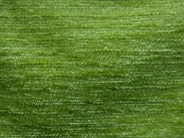 SEATTLE 西雅圖 傢飾布  T101-1