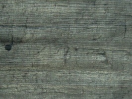 PROLONG TILEC.OM 塑膠地磚  MJP286