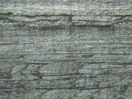 PROLONG TILEC.OM 塑膠地磚  MJP432