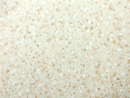 舒耐毯 塑膠地磚 LG-SPR 1302