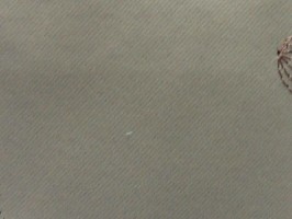 FU Ying 馥穎 傢飾窗簾布  1081-451