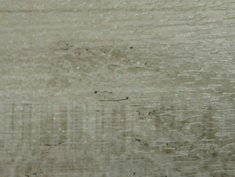 吉利良木 GOOD WOOD 塑膠地磚 LM204