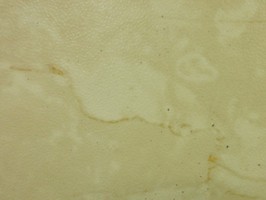 新貂磚2石紋系列2.0 塑膠地磚 F-8882