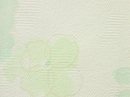 FRESH 1000 壁紙  RF-6253