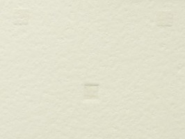 FRESH 1000 壁紙  RF-6311