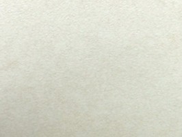 FRESH 1000 壁紙  RF-6927