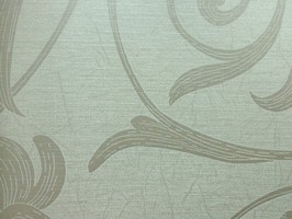Fashion Star 時尚之星 壁紙  39158