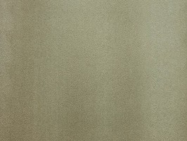Fashion Star 時尚之星 壁紙  39177