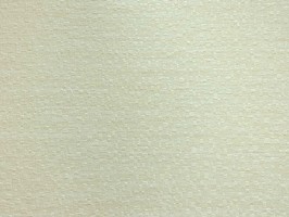 Fashion Star 時尚之星 壁紙  39210