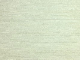 ARGENT 亞晉 壁紙  510-82