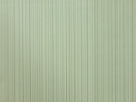 ARGENT 亞晉 壁紙  510-107