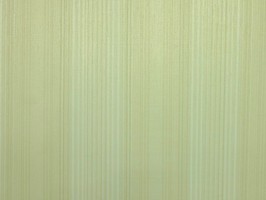 GENEVIEVE 壁紙  GV 31411