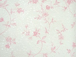 新歐樺 LE UM 壁紙  38256