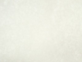 新歐樺 LE UM 壁紙  65801