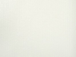 新歐樺 LE UM 壁紙  80820