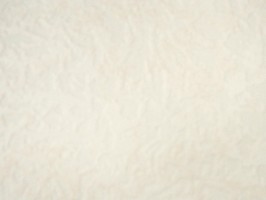 新歐樺 LE UM 壁紙  81301