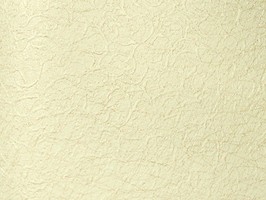 新歐樺 LE UM 壁紙  88075