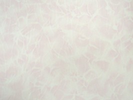 新歐樺 LE UM 壁紙  88285